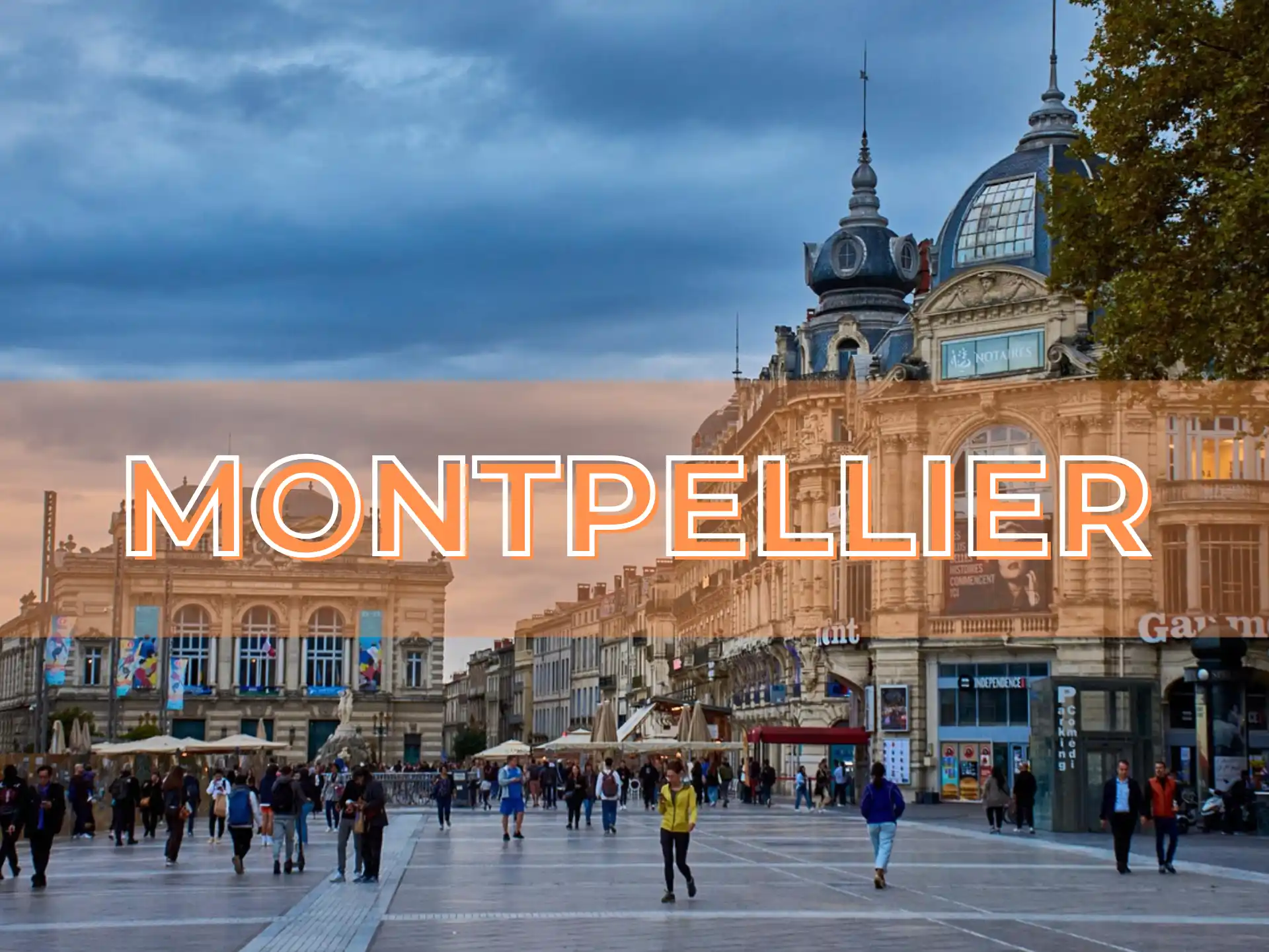Padel à Montpellier : Où Jouer ? Les meilleurs complexes et tarifs en 2026